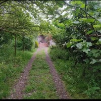 فروش ویلا باغ سنددار کلاچای