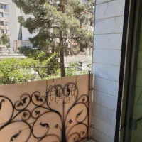 ۵۳ متر / سند تک برگ