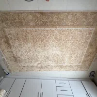فرش ۱۲۰۰شانه ۶متر