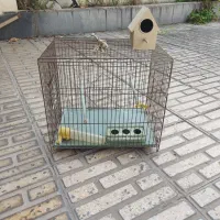 قفس پرنده