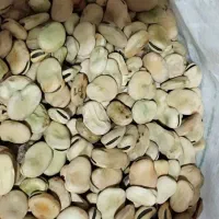 باقلا شاخ بزی،وتازه،
