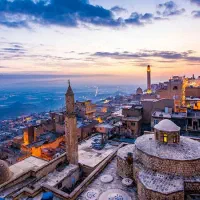 تور زمینی وان ویداگشت