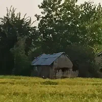 خانه-کرایه