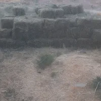 ۷۳بسته پرس علف