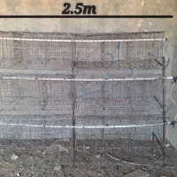 قفس مرغ تخمگذار