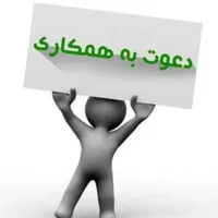 مدیر مالی
