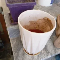 گل و گلدان