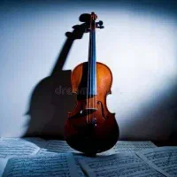آموزش حرفه ای ویولن