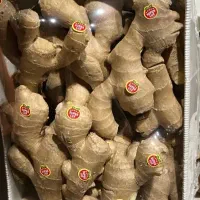 زنجبیل/زجبیل تایلندی/زنجبیل چینی