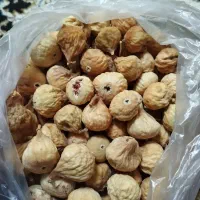 انجیر تازه