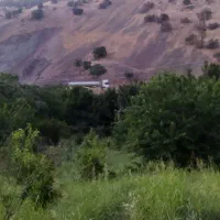 فروش باغ