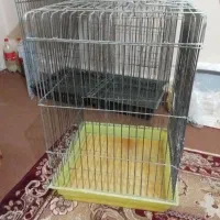 قفس و لونه عروس هلندی