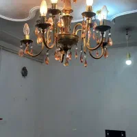 لوسترطلایی