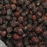 آلبالو خشک شده ارگانیک