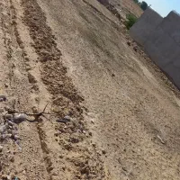 زمین مسکونی