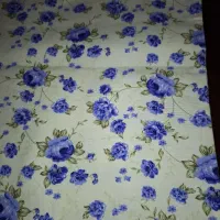 کیسه سبزی دو لایه