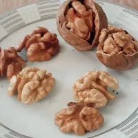 گردو