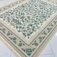 فرش ماشینی گل برجسته مناسب آپارتمان/مدل دلوین