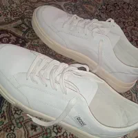کفش