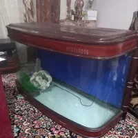 آکواریوم شرکتی