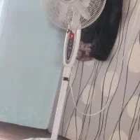 پنکه