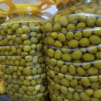 ترشیجات.خیارشور.زیتون.|عمده‌فروشی|مریوان, |دیوار