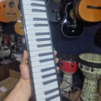 ملودیکا سوان