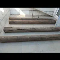تنه درخت کاج