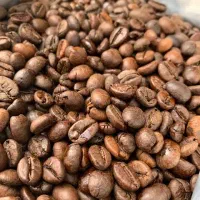 فروش قهوه و نسکافه گلد و کلاسیک عمده