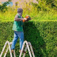 هرس و علفتراشی و سمپاشی و طراحی فضای سبز
