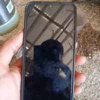گوشی  a05s