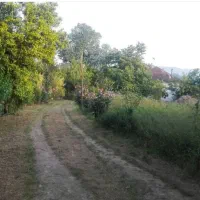 خانه و وحوطه  ۱ هکتاری  در لاهیجان  سند تک‌برگ