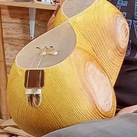 تار محمدعلی