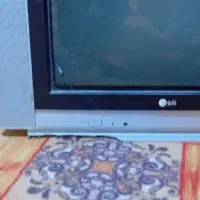 تلویزیون