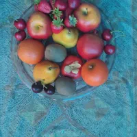 ظروف پذیرایی درحد نو