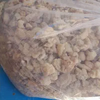 انغوزه و وشا