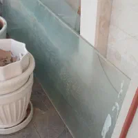 شیشه مشجر