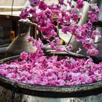 گلاب وعرقیات دوآتیشه  کاشان