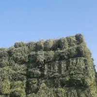 پرس یونجه خشک