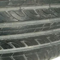 لاستیک سمندی.وپیکان باری