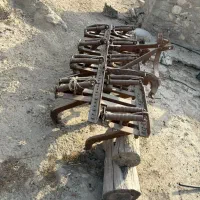 شخم گندمی