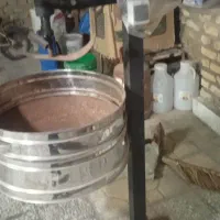 تخمه پز رودان