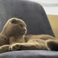 با وسایل ۱۰ تومن فروش فوری فوری فوری