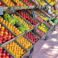 شاگرد ساده جهت میوه فروشی