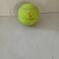 توپ تنیس سالم