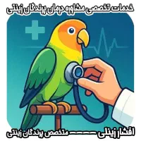 طوطی عروس هلندی دامپزشک گرینچیک راهب کاسکو قناری