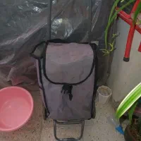 چرخ دستی پل رو