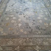 ۲تخته ۱۲۰۰ شانه اصل سنگین وزن تراکم ۳۶۰۰تخفیفی