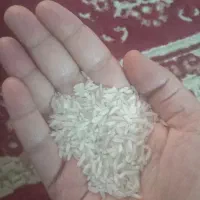 فروش برنج