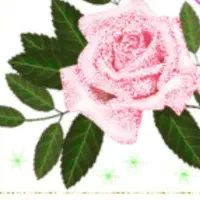 فروش لب تاپ ایسوز کاملا نو